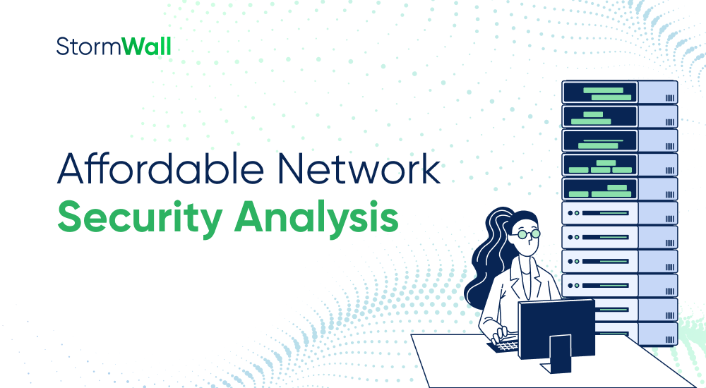 Read more about the article Affordable Network Security Analysis