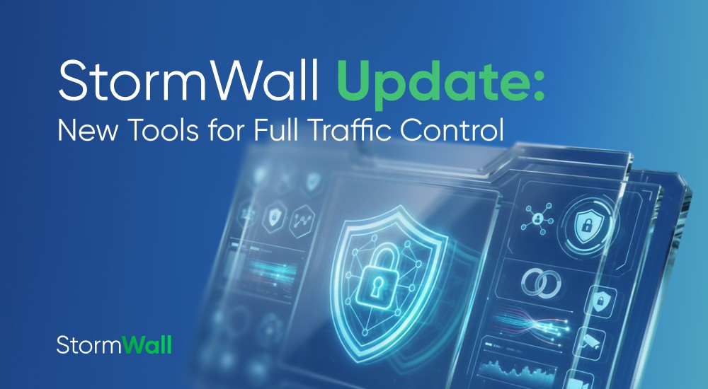 Read more about the article StormWall Update: New Tools for Full Traffic Control 